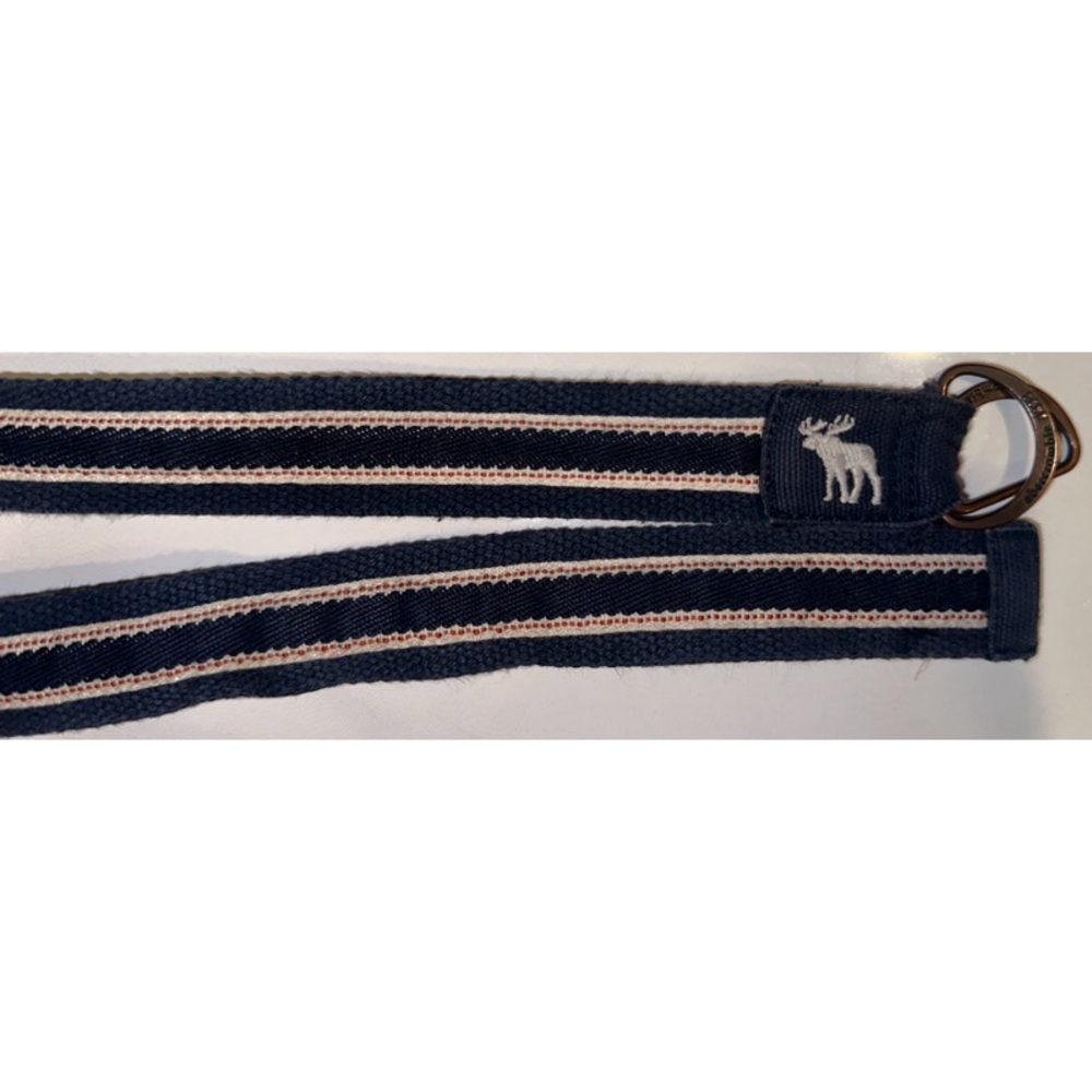 Abercrombie & Fitch Striped Blue & White Adjustable Belt